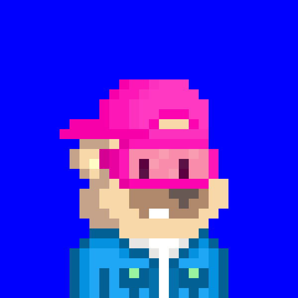 Very busy day today 🐹
Still building, still pushing forward 💙