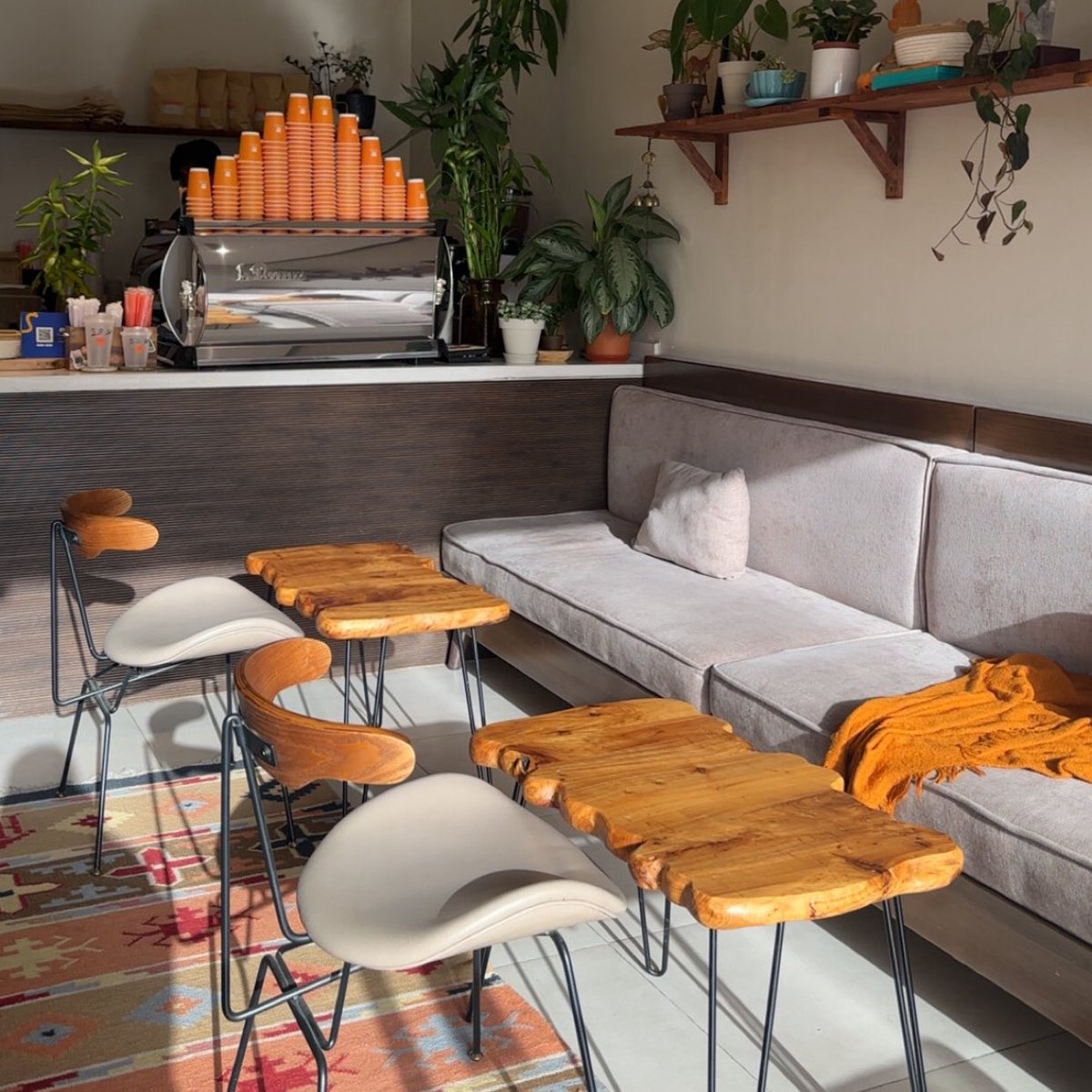 Reef Alshehri👩🏻‍💻 tweet media