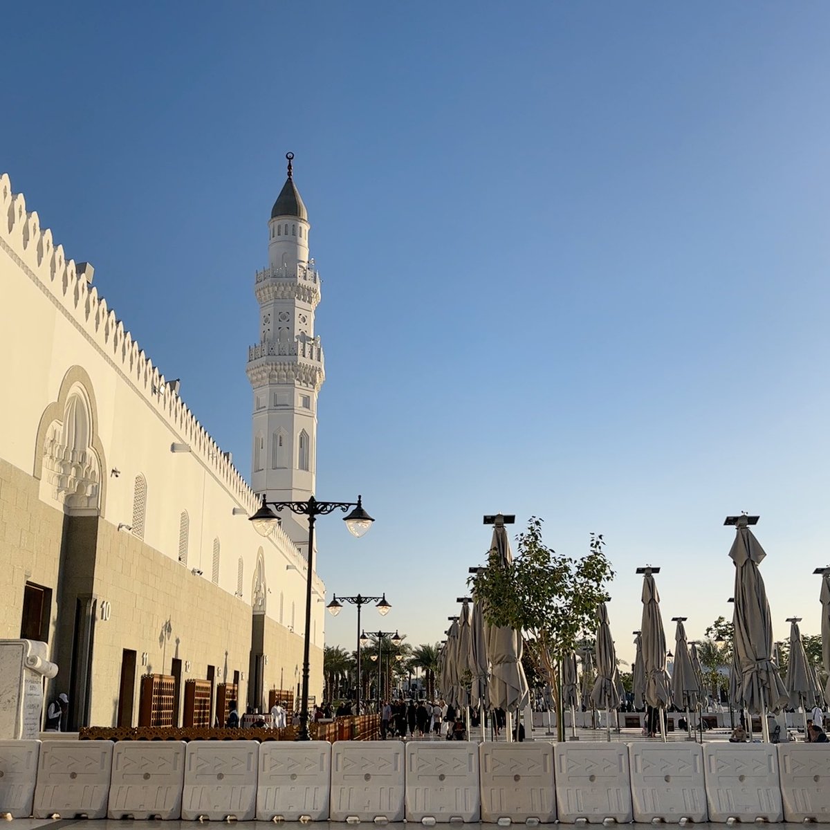 Reef Alshehri👩🏻‍💻 tweet media