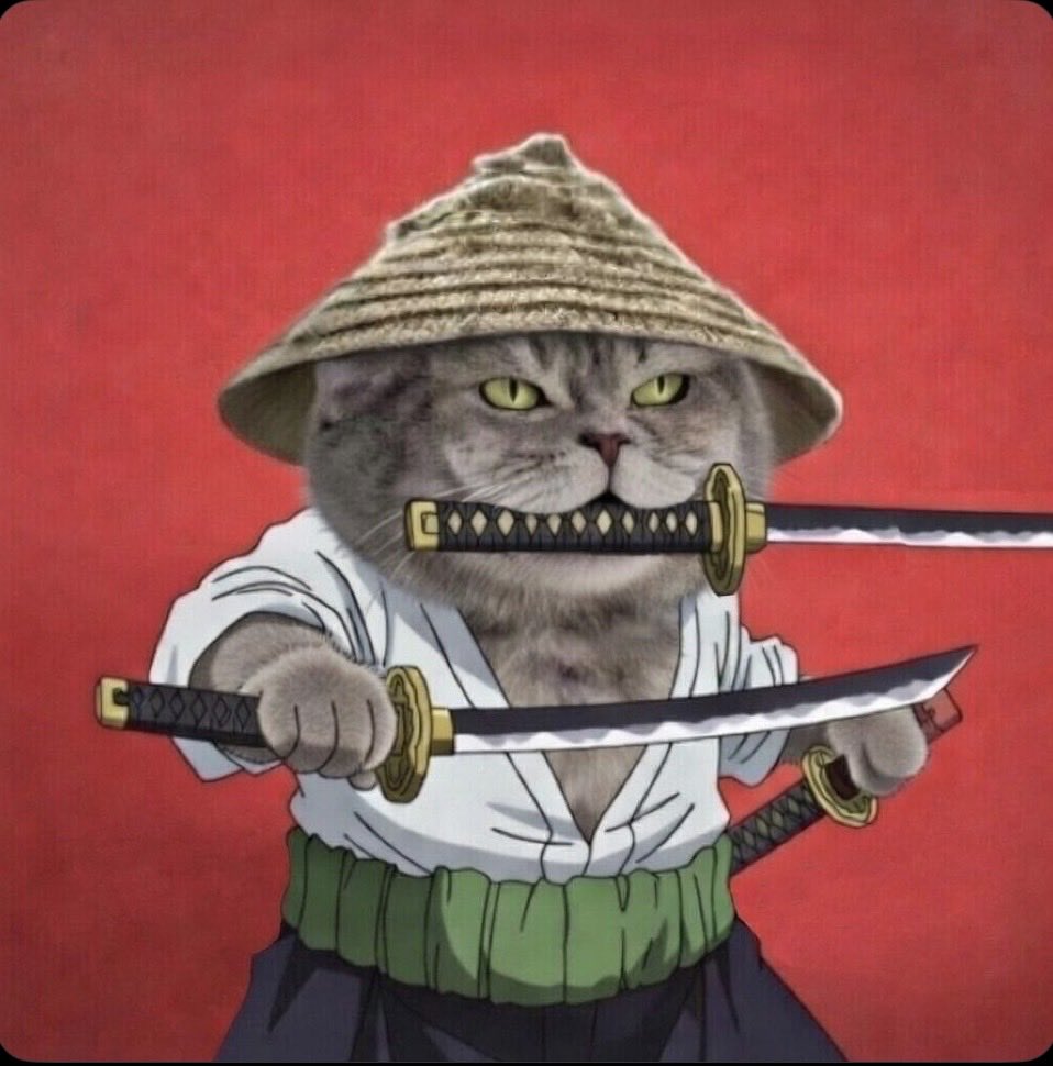We will start building in the algorithm and eventually will show up.  Let’s keep tagging people about the new samaurai cat in town!
$Yuki