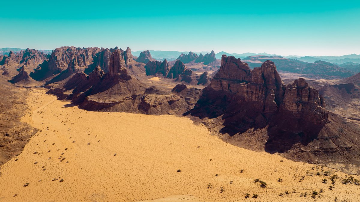 مصعب الكلابي tweet media