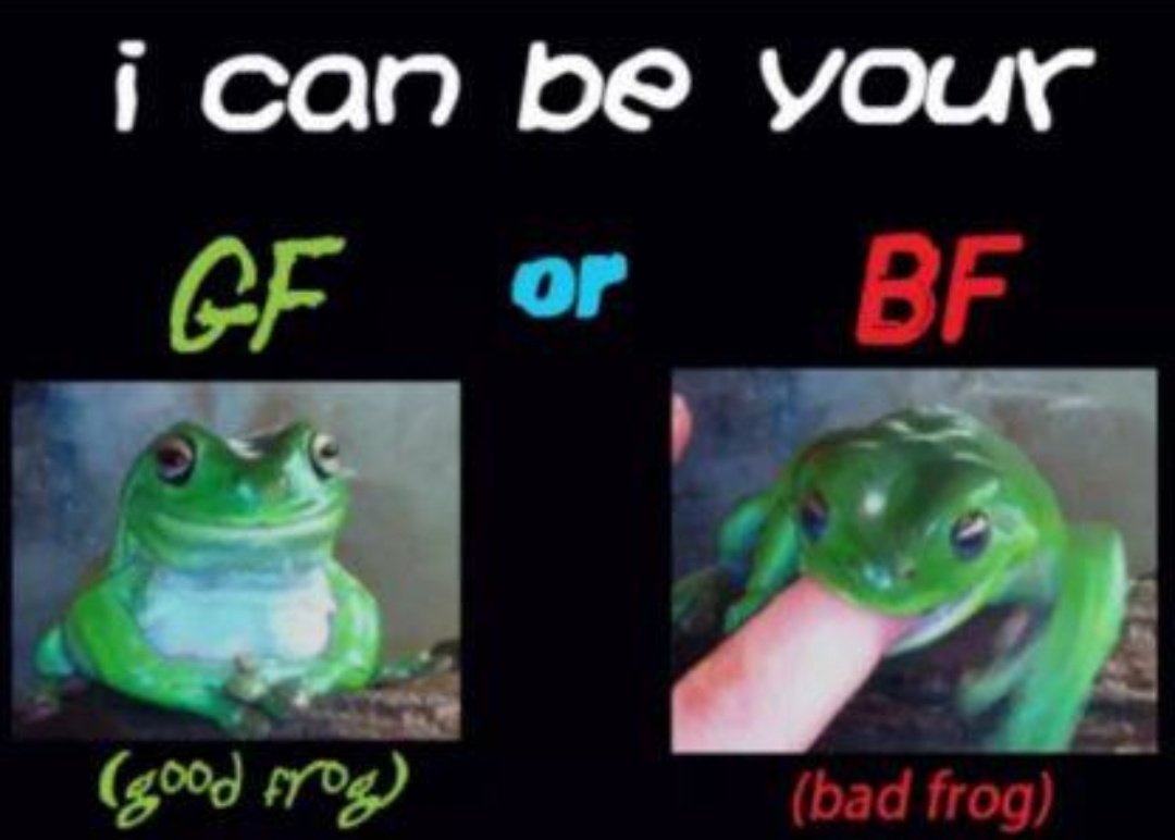 No Context Frogs (@nocontextfrogs) on Twitter photo 