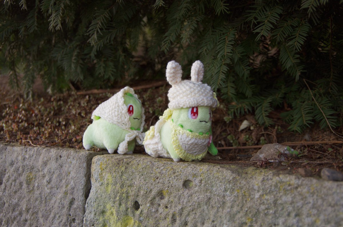 チコリータそらをとぶ tweet media