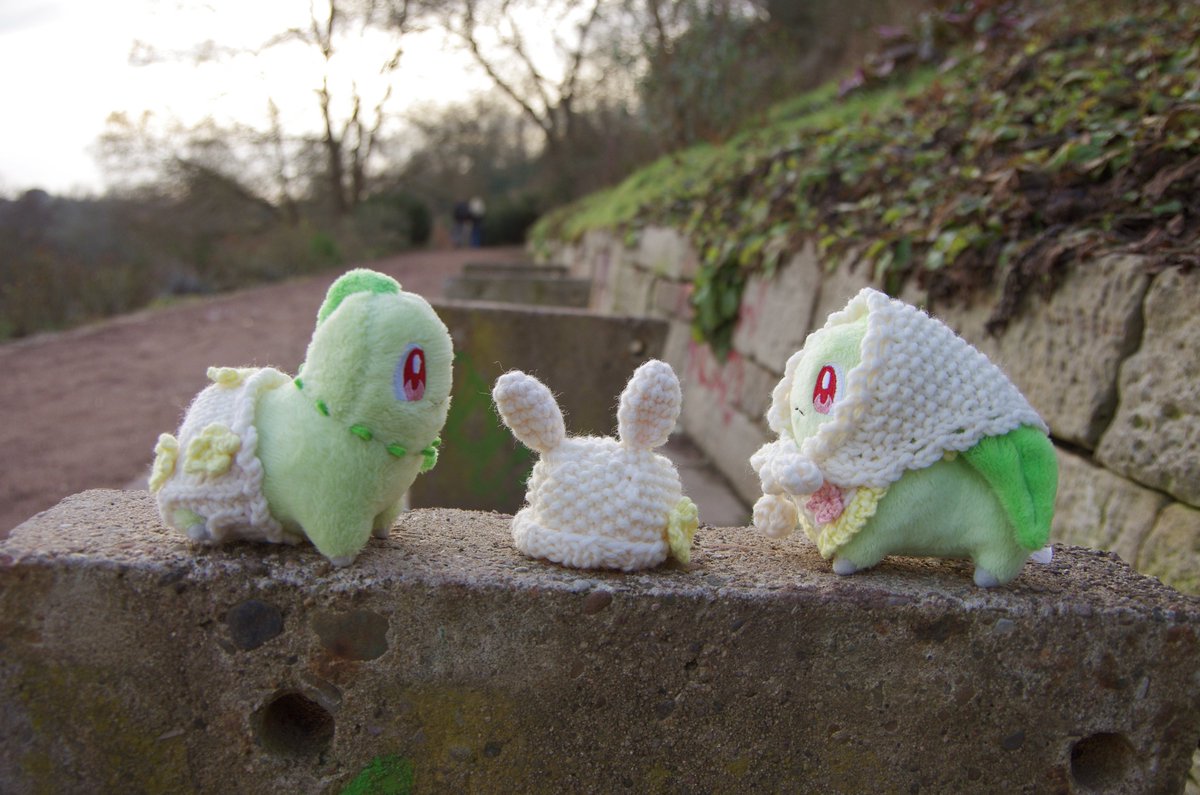 チコリータそらをとぶ tweet media