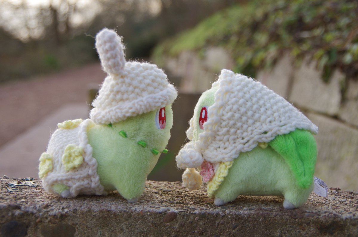 チコリータそらをとぶ tweet media