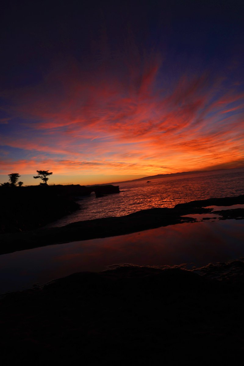 Dustin Mulvaney tweet media