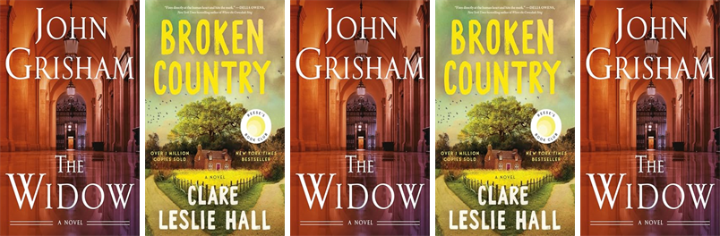 This week the Hagaman Memorial Library has two new books.  New items include The Widow and Broken Country. wowbrary.org/nu.aspx?p=790-…