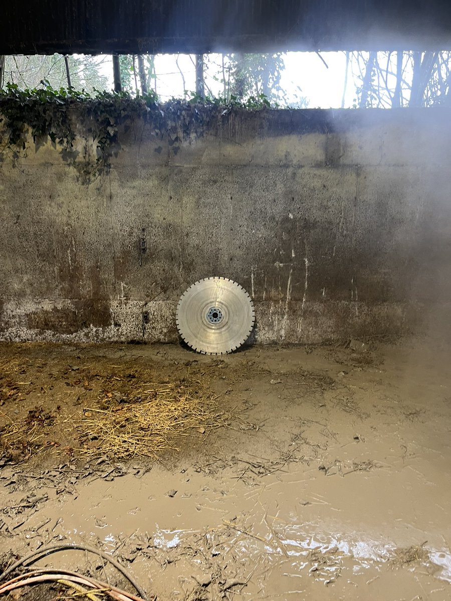 Paul Hyland 🐄 tweet media