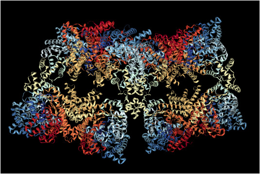 BioDesign Research tweet media