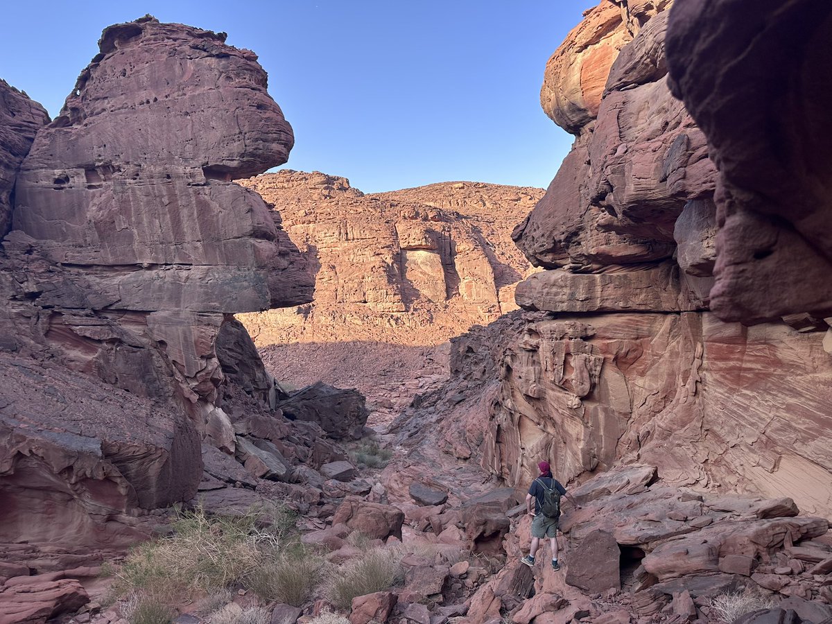 Kristin 💛 tweet media