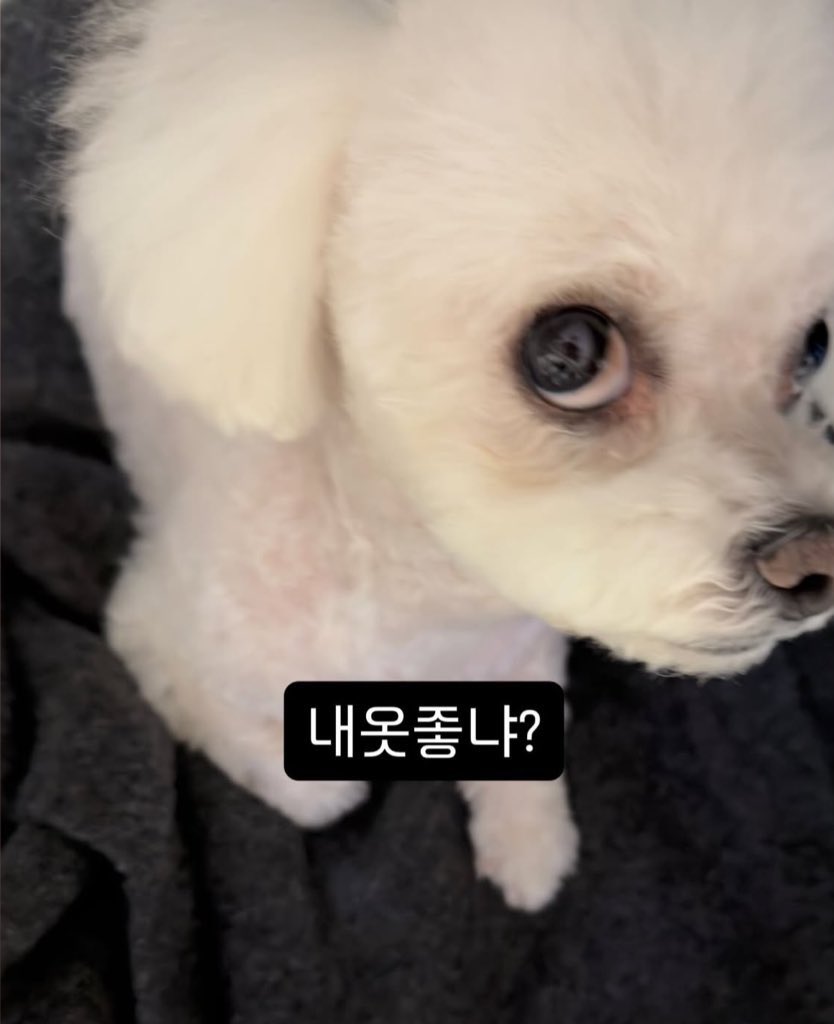 contagiouslele's tweet image. 1000% emang anak lu😩😭