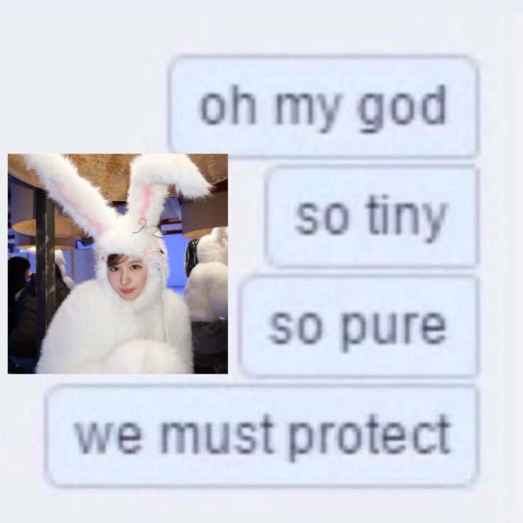 sana acervo (@sanacervy) on Twitter photo 