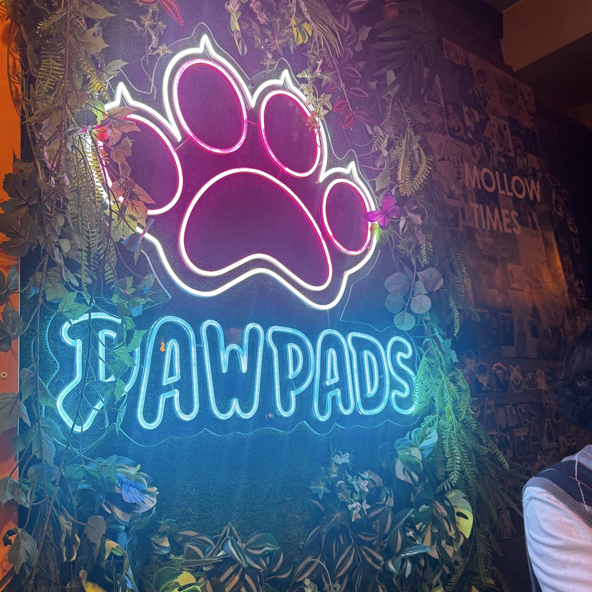 DieselSaurus's tweet image. In my restless dreams… 
I see that bar…