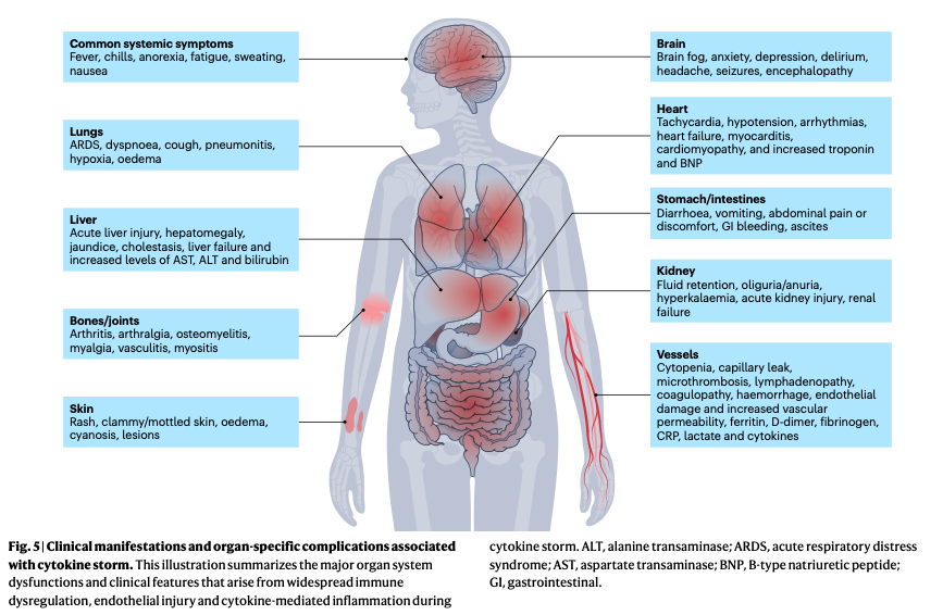 🔺Cytokine storm (Nature 2026)

doi.org/10.1038/s41572…