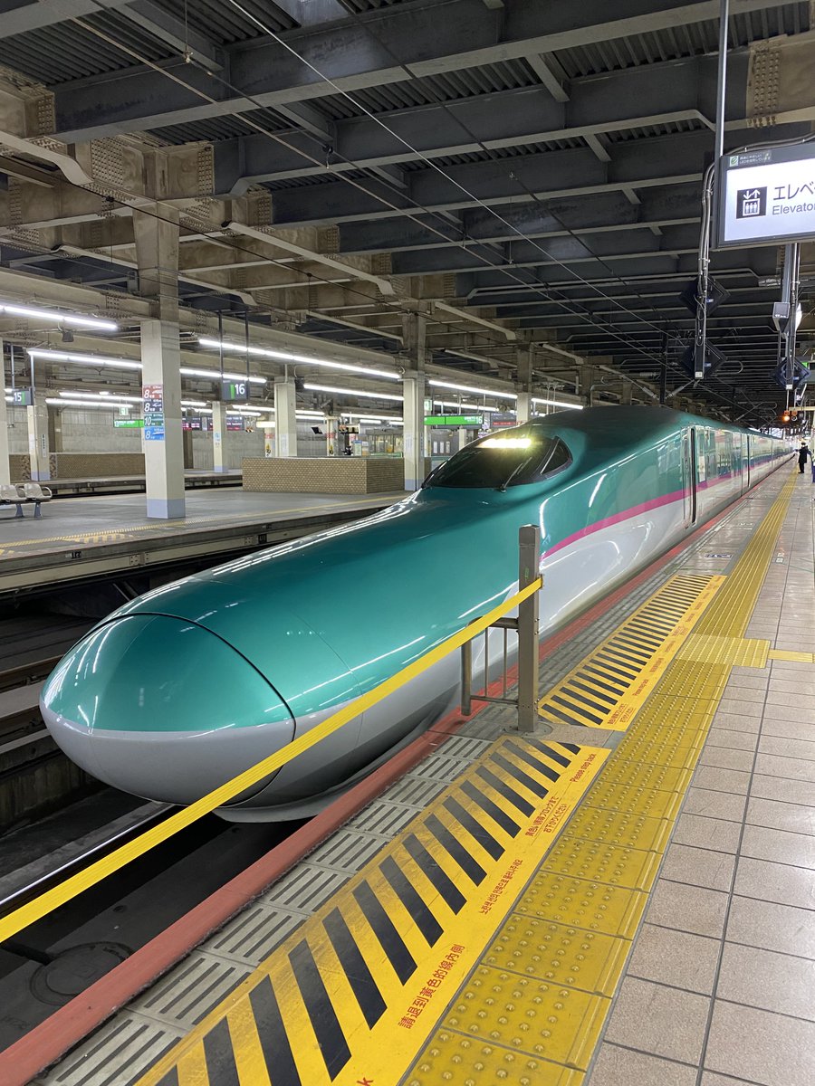 マルベリー👑🐃5/9&10新潟 tweet media