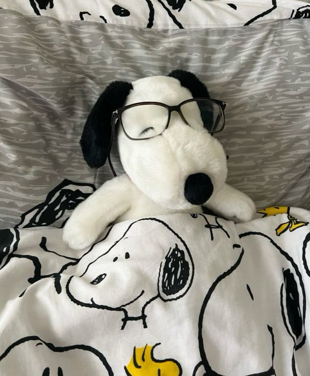 Snoopy (@snoopyphotos) on Twitter photo 