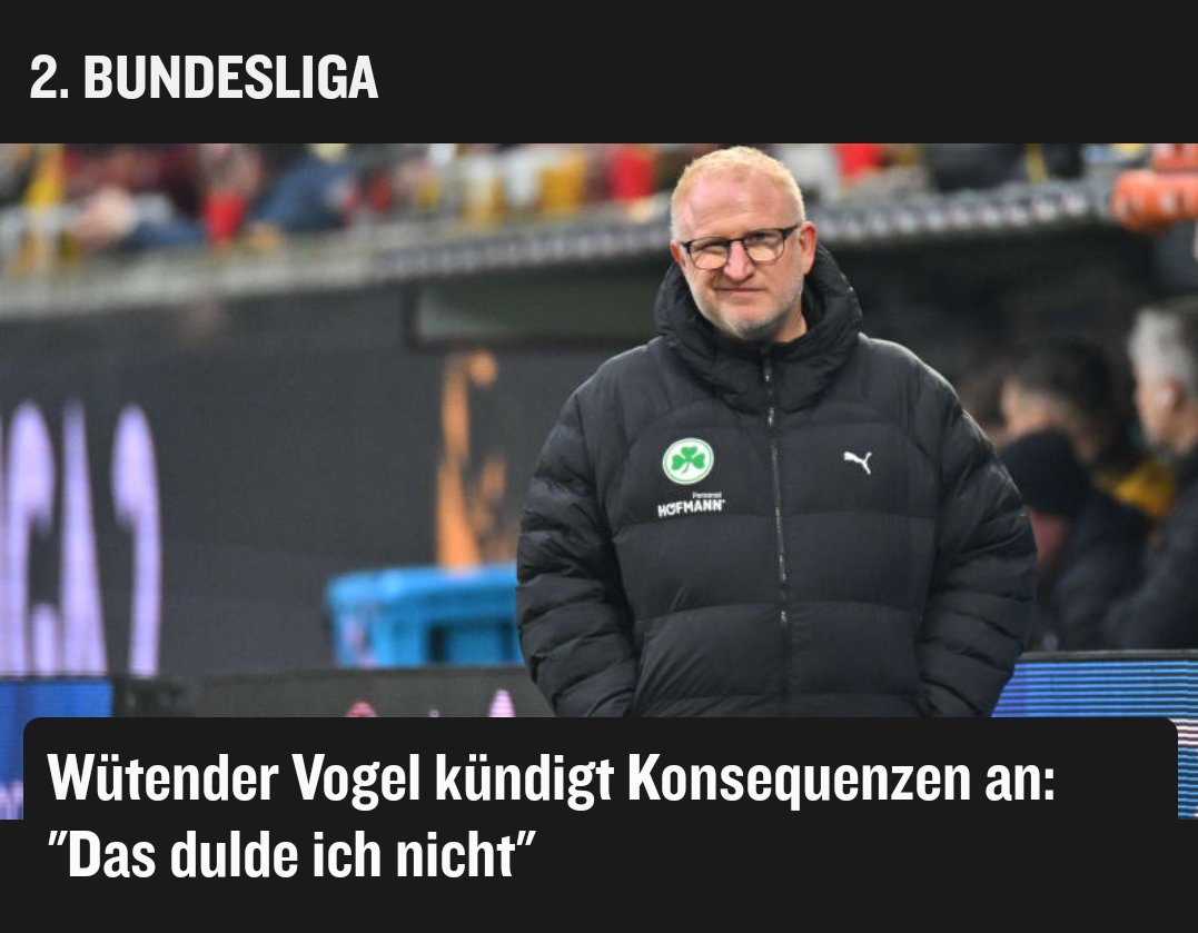 diese eine möwe, wenn du ihr nichts von deinem essen abgibst: