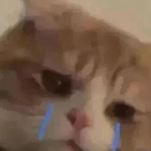 paperconnection's tweet image. 昼過ぎの真冬。
あわよくばベッドに行って散歩。
懐かしい 🍕