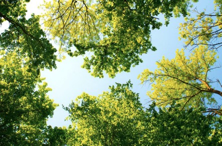 The <a href="/MendhamTownship/">Township of Mendham</a> Committee will be holding a public workshop on January 22nd, 6-7:30pm to review &amp; discuss topics related to the Township’s proposed updated Tree Ordinance. Resources related to this discussion, mendhamtownship.org/tree-protectio…
Meeting details: mendhamtownship.org.