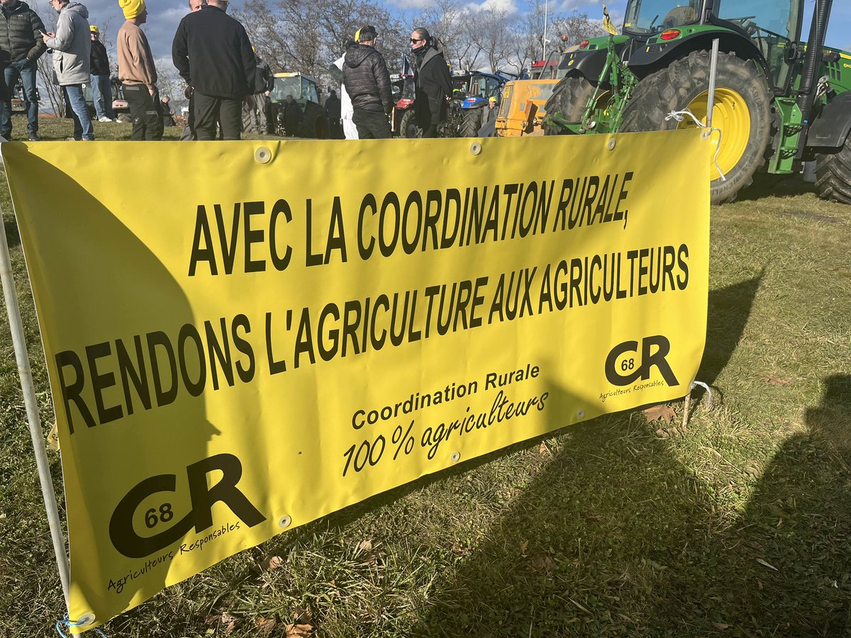 Action Française - Mulhouse tweet media