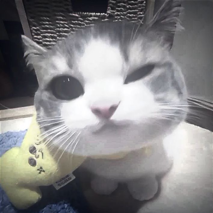 트친소를 내렸습니당💞
잘 부탁드려요!❤️