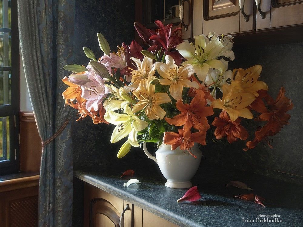 𝗟𝗲𝗲𝗻 (@1leio) on Twitter photo 