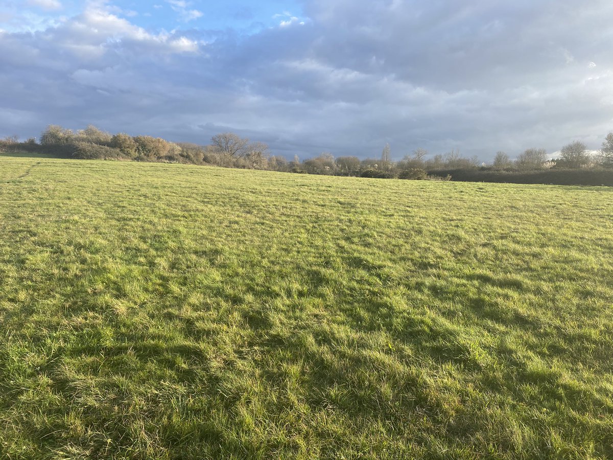 En Llugones el gobierno municipal se va a pulir este sistema de  prados con sebes, muy rico en botánica, aves e insectos, para abrir una calle. Pero se puso un pitufo gigante en una rotonda “para concienciar sobre los objetivos de desarrollo sostenible”. Eso dijo el alcalde.