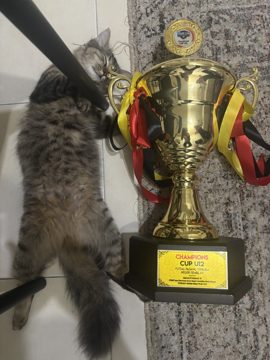 raifulbahri's tweet photo. Sleep well son! 🏆🤣 https://t.co/3ODYTTFJd7