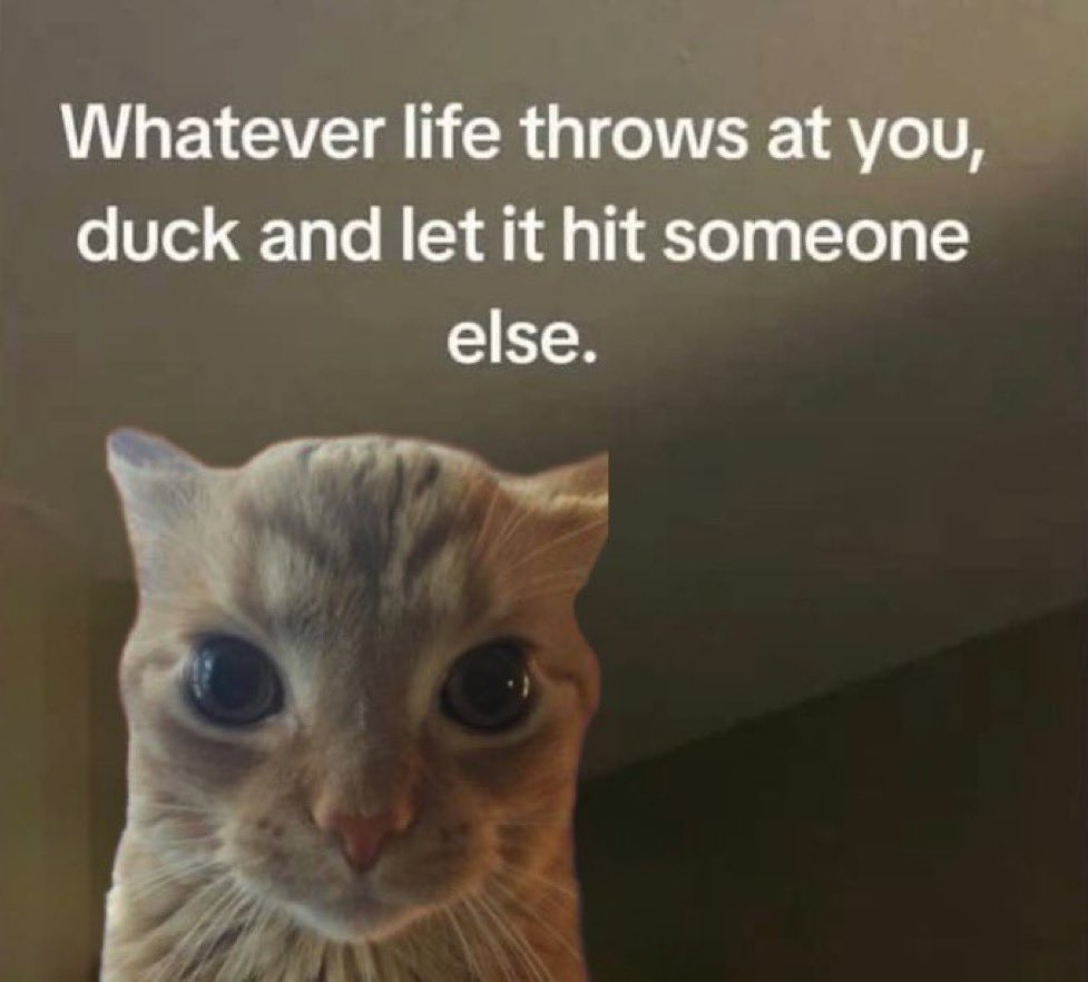 GaK (@gakstercat) on Twitter photo 