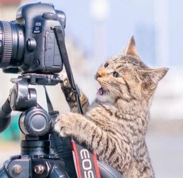 AshtrydPrincess's tweet image. たまにの動物観察がやっと終わった 🦴