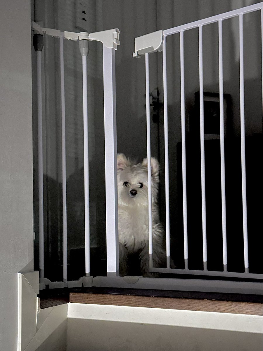 ╭ ◜◝ ͡ ◜◝ ͡ ◜◝ ╮
  전기장판 켜놨져
 ╰ ◟◞ ͜ ◟ ͜ ◟◞ ╯
          O
           °.