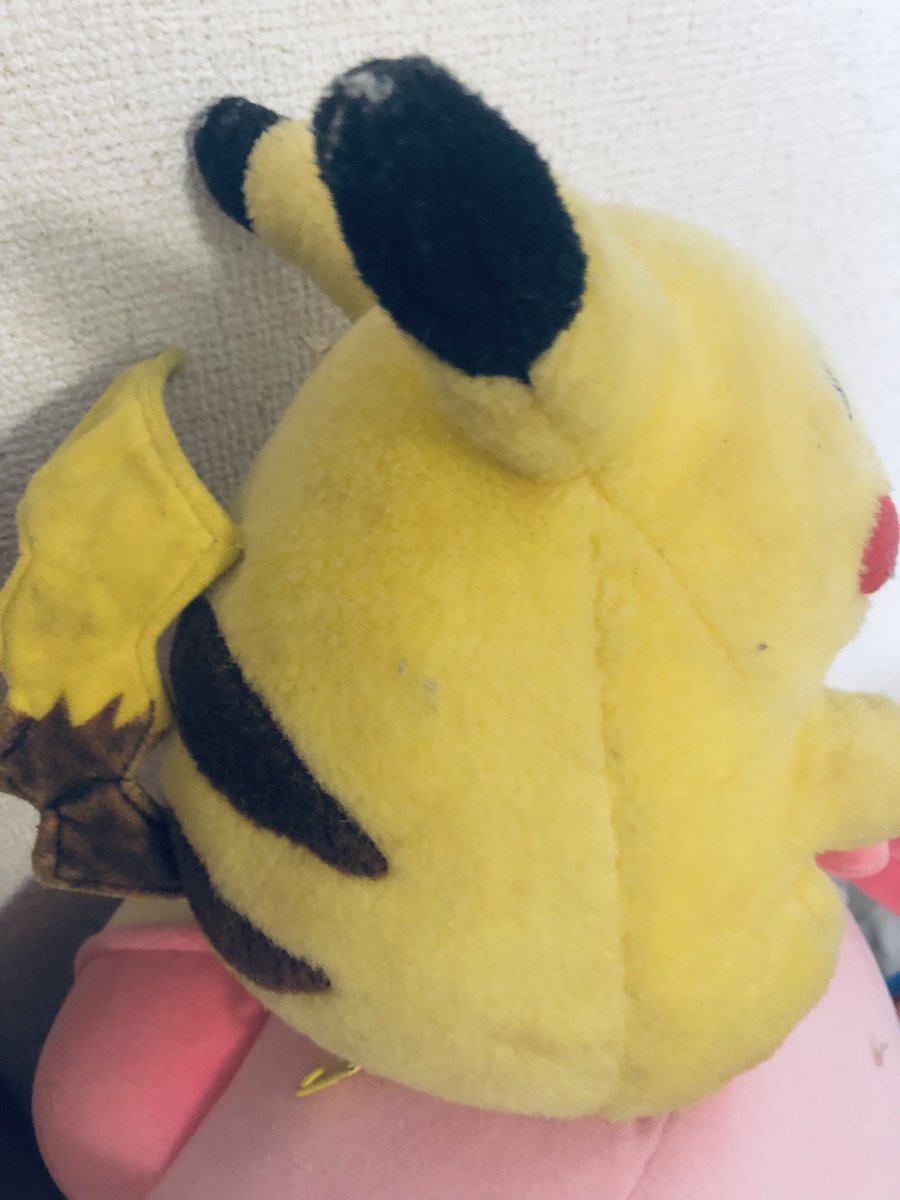 実家にひんしの子いるけど自分の家にも欲しいですどうか😭😭😭😭😭
大量生産を😭😭😭😭😭