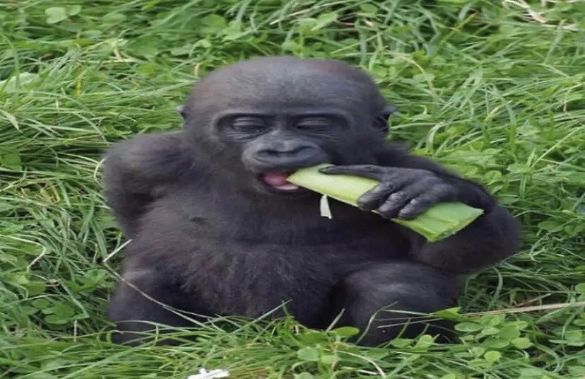 urrrinal's tweet image. i jus be chillin fr