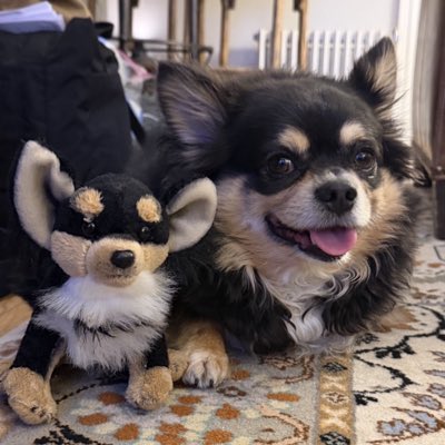 JDNYUS's tweet image. #NewProfilePic