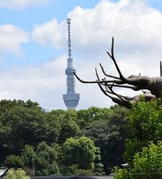 TraceMeAgain's tweet image. 喫茶店の満月がいい感じ 🐤