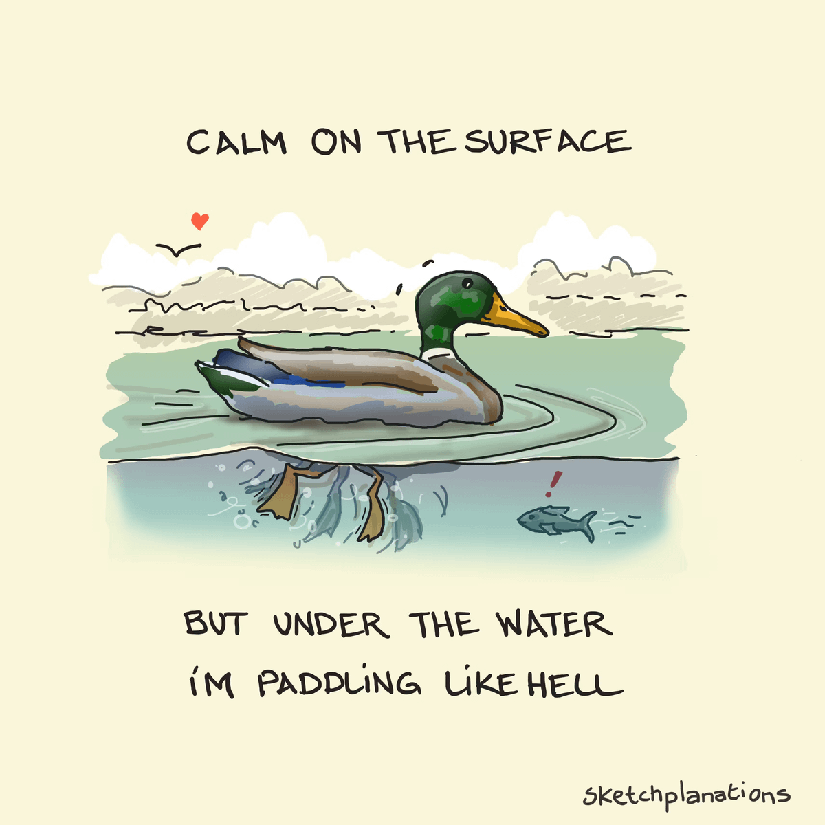 Lots of respect for the duck