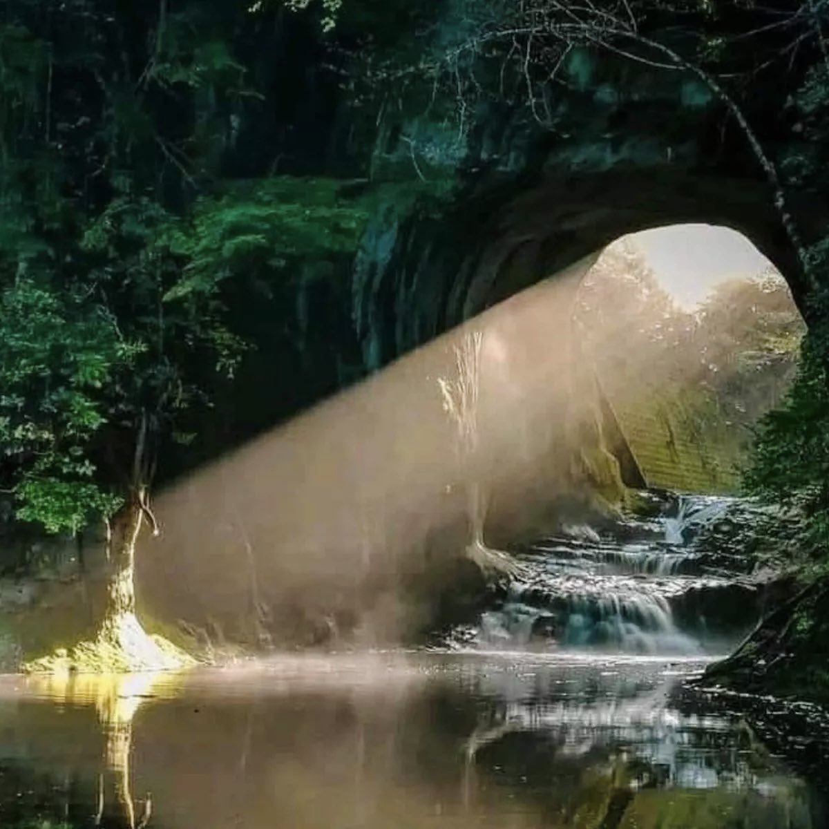 quesadaaa_'s tweet image. this is such a beautiful cave