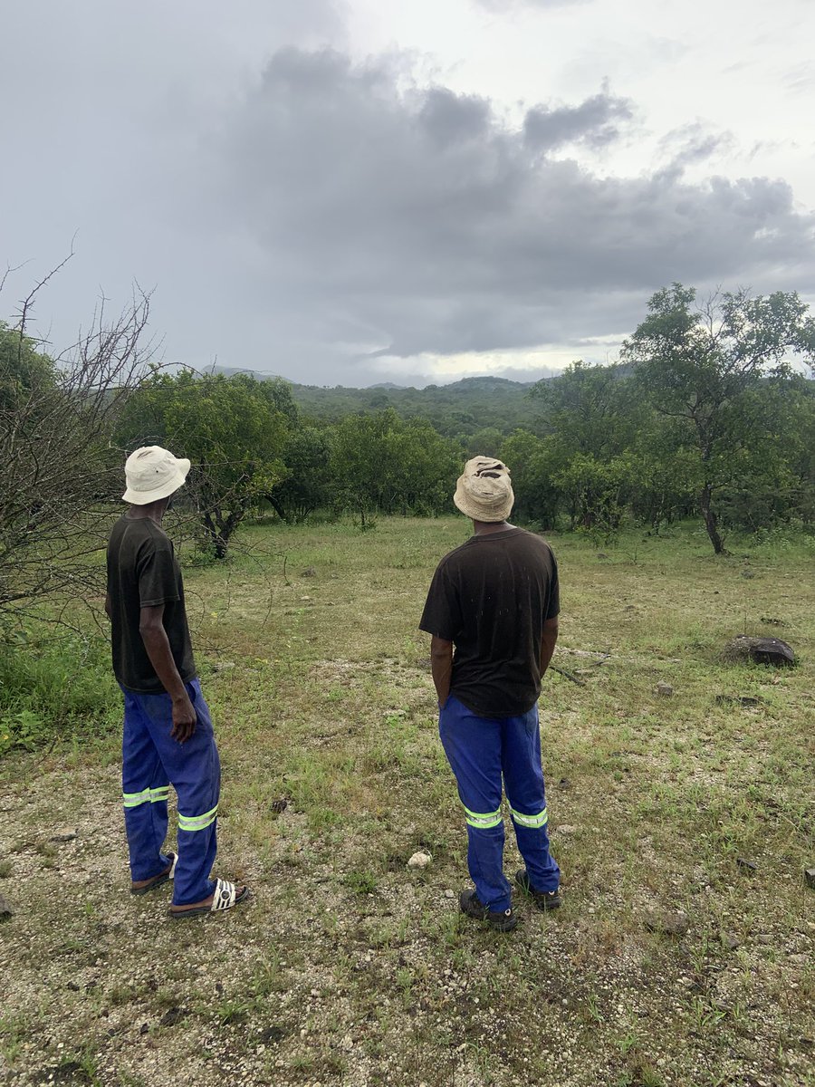 @BantuPower Pan African tweet media