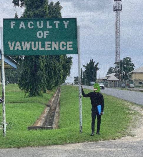 Two of my introvert friends who do not usually post on social media before leaving Nigeria, entered the USA a few years ago, started vlogging, creating content, and posting online every 2 days. 😂😂😂

Please what happened? I've noticed the pattern. Are they still introverts?