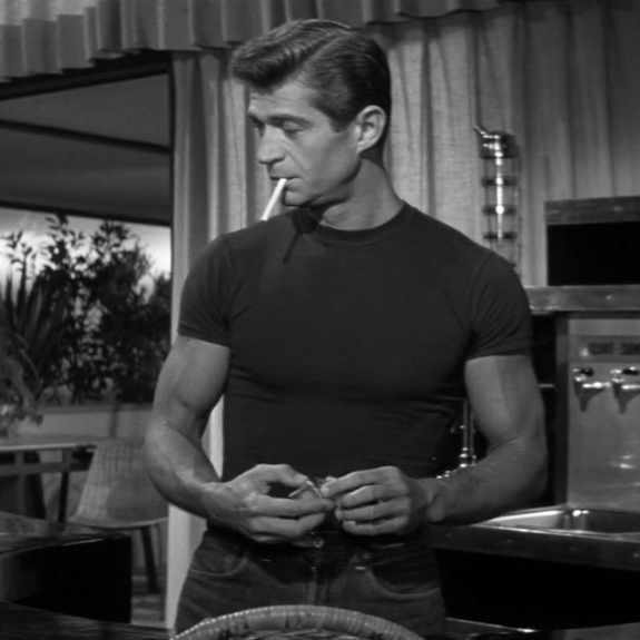 suddenxfear's tweet image. george nader in the female animal (1958)