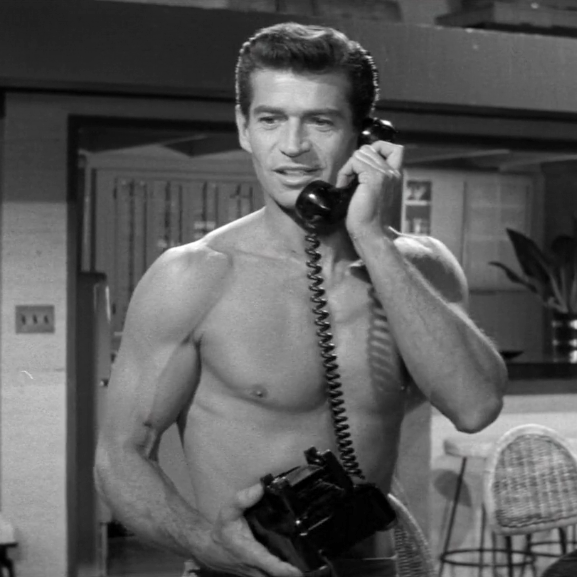 suddenxfear's tweet image. george nader in the female animal (1958)