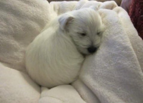 고등학교 2학년 이후로 안 할거라고 생각햇던 거

“ 울다 잠들기 ”

마흔까지는 할 것 같네요