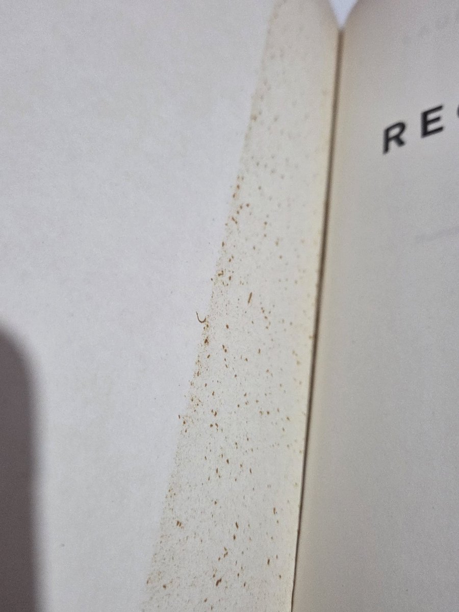 Layla 🌿 tweet media