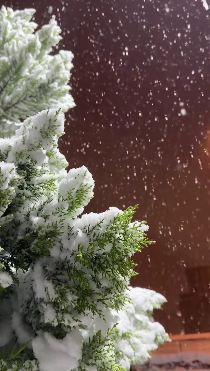 Kırıldığımız, sükût ettiğimiz Yerlerden çiçekler açarız 
Elbet 
🍀🪽🌼