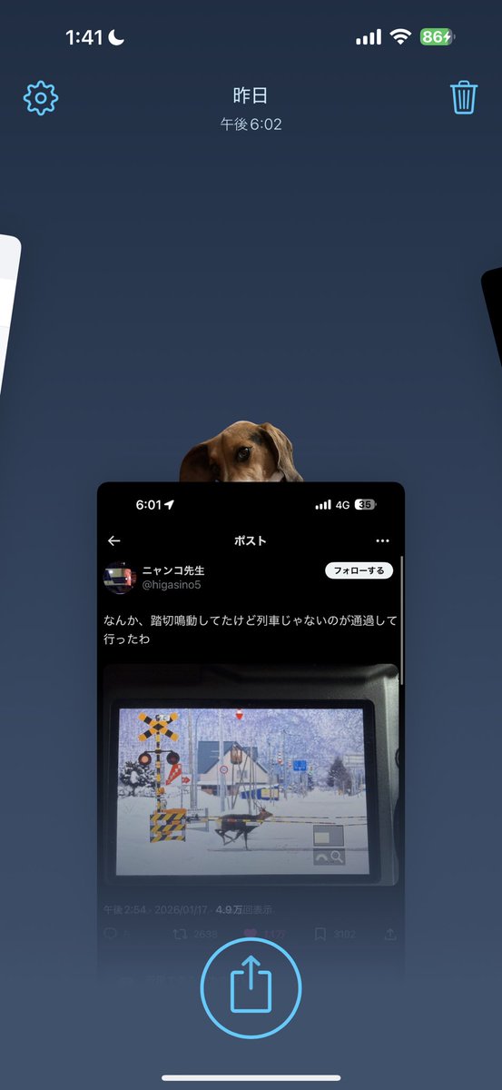 今更かもやけど、スクショを自動で結合してくれる「Tailor」、イースターエッグあるの知らんかったwww