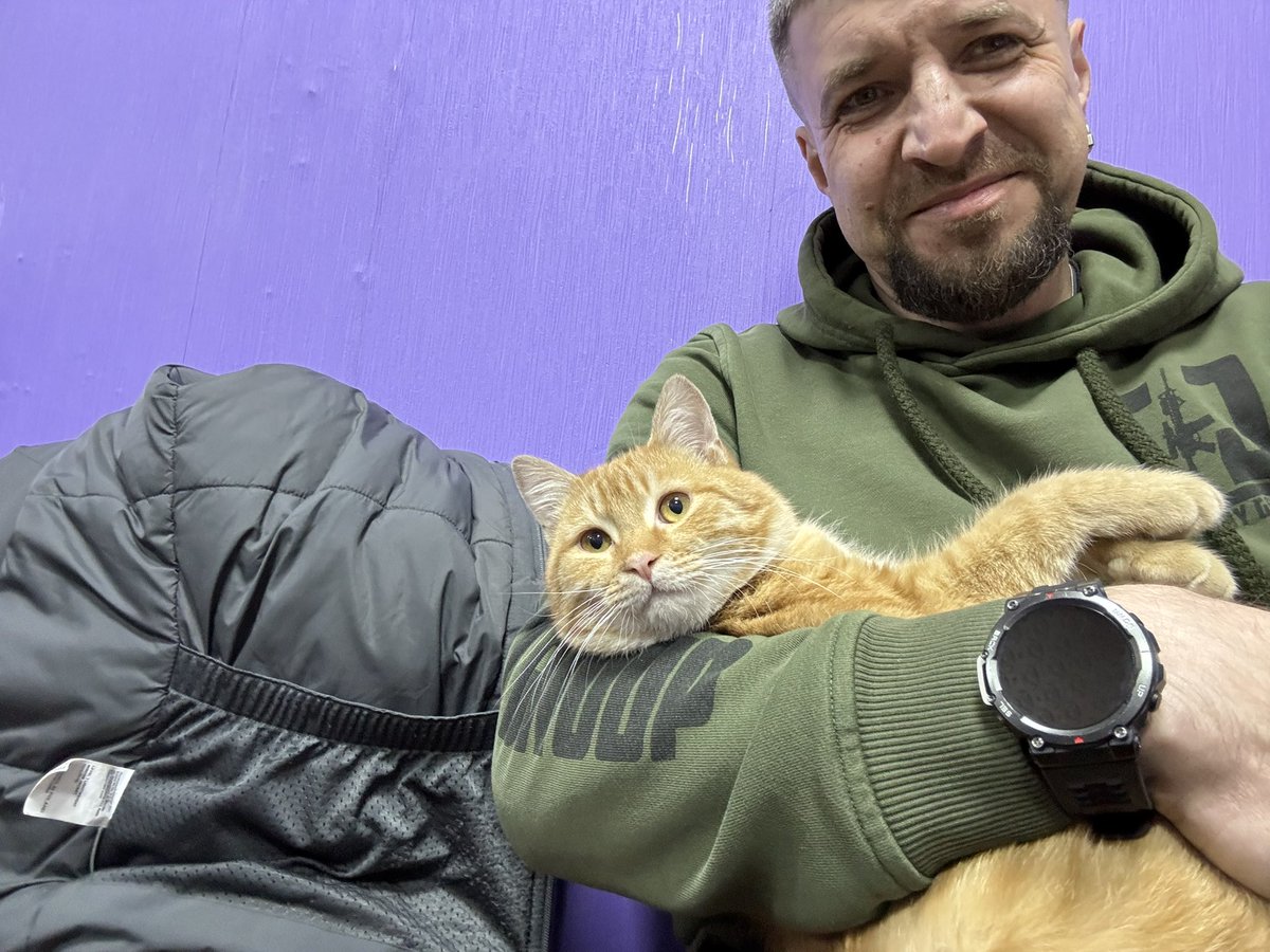 shidne_bydlo's tweet image. Друзі, кому кота? Дуже класний кіт з Донбасу. Треба йому знайти новий дім. Зробіть репости будьласка.