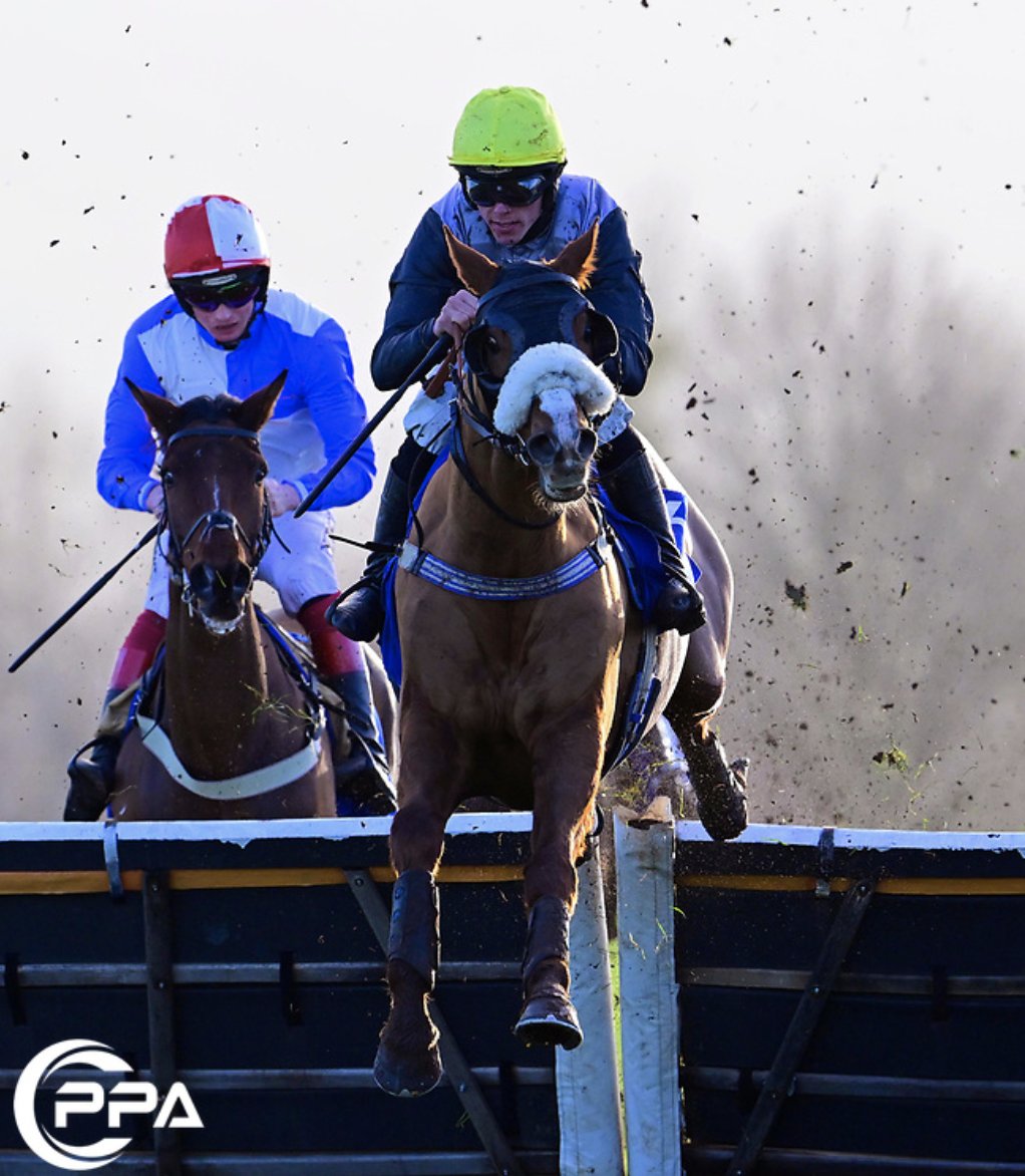 PPA Sports Content tweet media