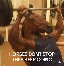 horse (archived) (@rllyhungryhorse) on Twitter photo 