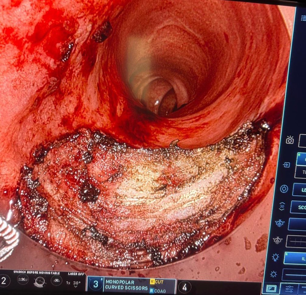 د.مريم علي القرني☤ tweet media