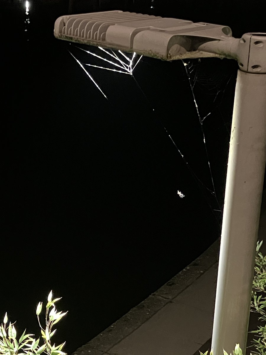 j’ai trouvé la principale concernée